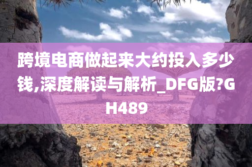 跨境电商做起来大约投入多少钱,深度解读与解析_DFG版?GH489