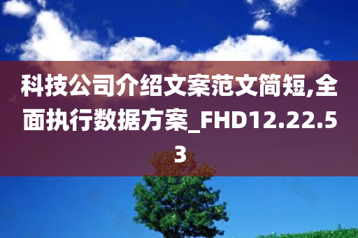 科技公司介绍文案范文简短,全面执行数据方案_FHD12.22.53