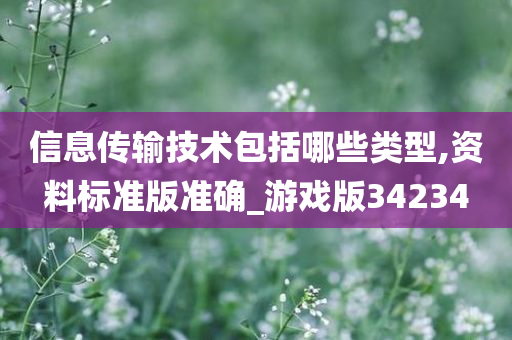 信息传输技术包括哪些类型,资料标准版准确_游戏版34234