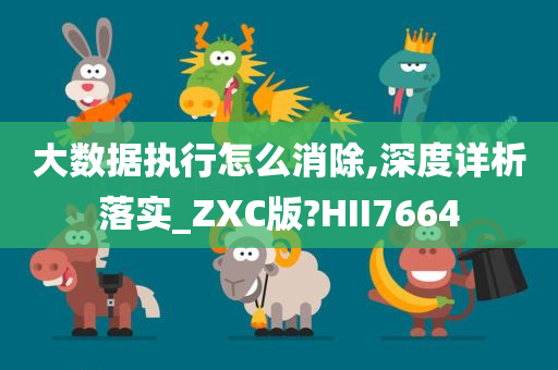 大数据执行怎么消除,深度详析落实_ZXC版?HII7664