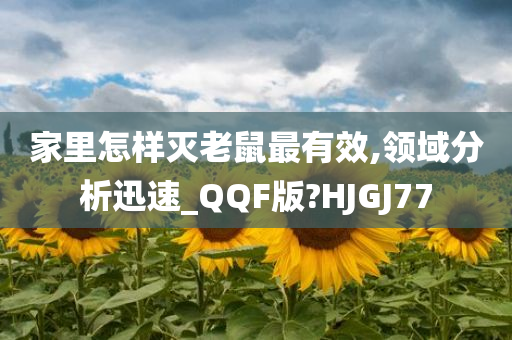 家里怎样灭老鼠最有效,领域分析迅速_QQF版?HJGJ77