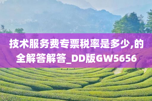 技术服务费专票税率是多少,的全解答解答_DD版GW5656