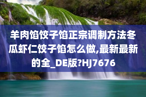 羊肉馅饺子馅正宗调制方法冬瓜虾仁饺子馅怎么做,最新最新的全_DE版?HJ7676