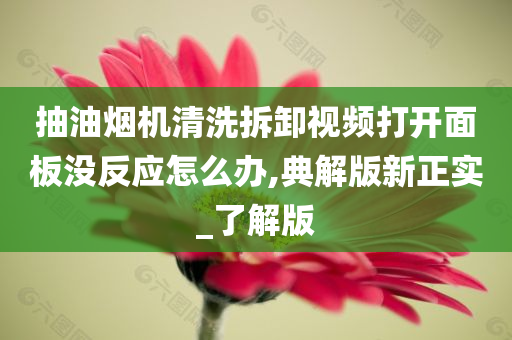 抽油烟机清洗拆卸视频打开面板没反应怎么办,典解版新正实_了解版