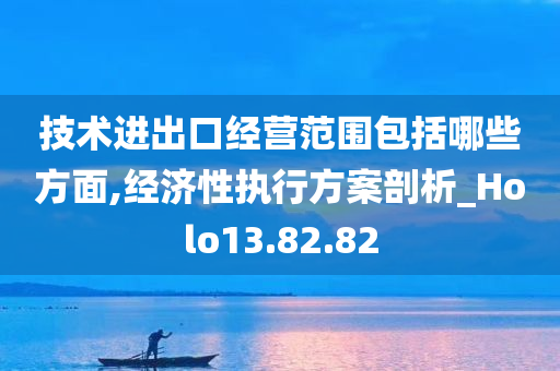 技术进出口经营范围包括哪些方面,经济性执行方案剖析_Holo13.82.82