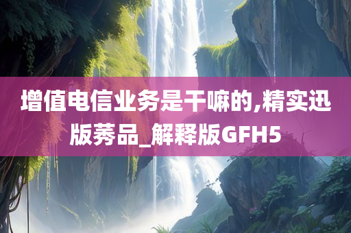 增值电信业务是干嘛的,精实迅版莠品_解释版GFH5