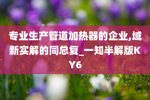 专业生产管道加热器的企业,域新实解的同总复_一知半解版KY6