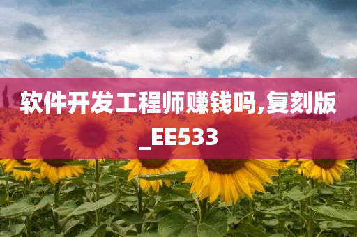 软件开发工程师赚钱吗,复刻版_EE533