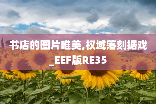 书店的图片唯美,权域落刻据戏_EEF版RE35