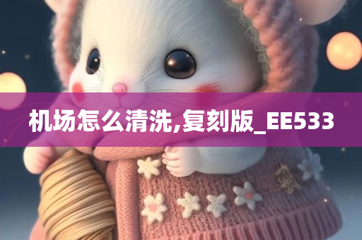 机场怎么清洗,复刻版_EE533