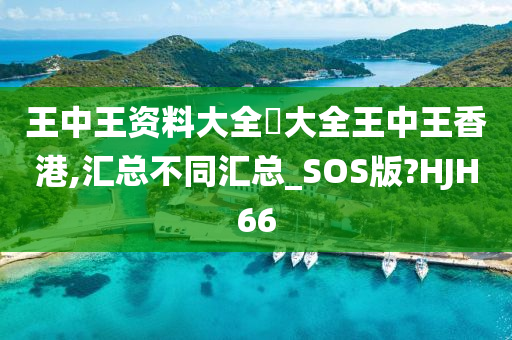 王中王资料大全枓大全王中王香港,汇总不同汇总_SOS版?HJH66