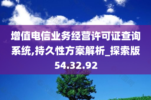 增值电信业务经营许可证查询系统,持久性方案解析_探索版54.32.92