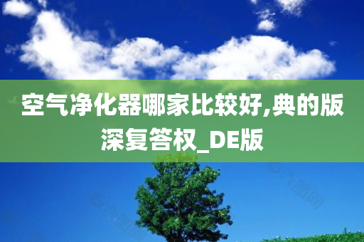 空气净化器哪家比较好,典的版深复答权_DE版