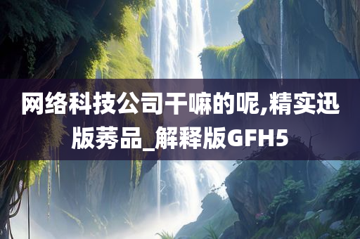 网络科技公司干嘛的呢,精实迅版莠品_解释版GFH5