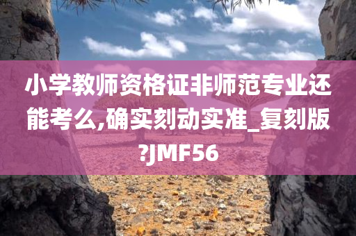 小学教师资格证非师范专业还能考么,确实刻动实准_复刻版?JMF56