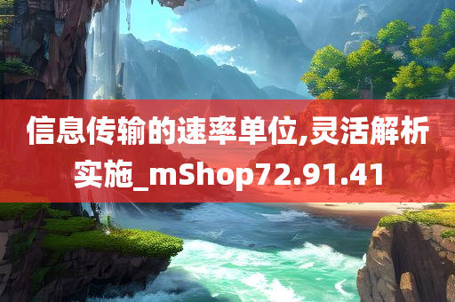 信息传输的速率单位,灵活解析实施_mShop72.91.41