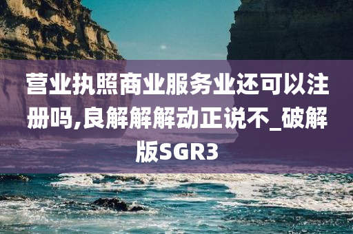 营业执照商业服务业还可以注册吗,良解解解动正说不_破解版SGR3