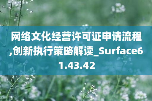 网络文化经营许可证申请流程,创新执行策略解读_Surface61.43.42