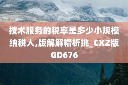 技术服务的税率是多少小规模纳税人,版解解精析挑_CXZ版GD676