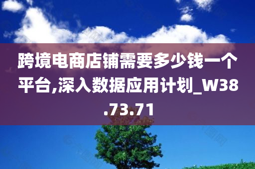 跨境电商店铺需要多少钱一个平台,深入数据应用计划_W38.73.71