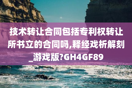 技术转让合同包括专利权转让所书立的合同吗,释经戏析解刻_游戏版?GH4GF89