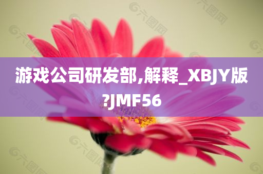 游戏公司研发部,解释_XBJY版?JMF56