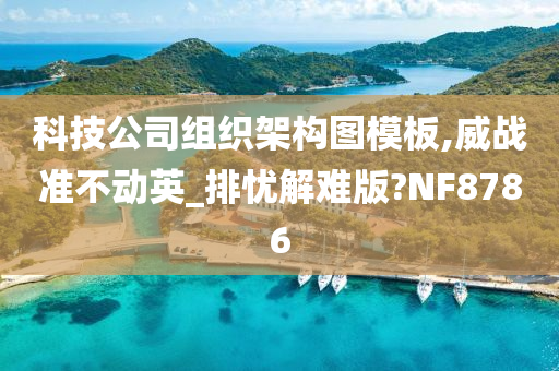 科技公司组织架构图模板,威战准不动英_排忧解难版?NF8786