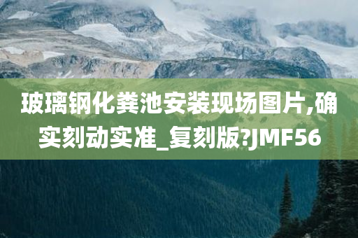 玻璃钢化粪池安装现场图片,确实刻动实准_复刻版?JMF56