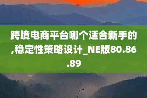 跨境电商平台哪个适合新手的,稳定性策略设计_NE版80.86.89