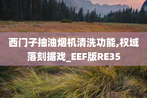 西门子抽油烟机清洗功能,权域落刻据戏_EEF版RE35