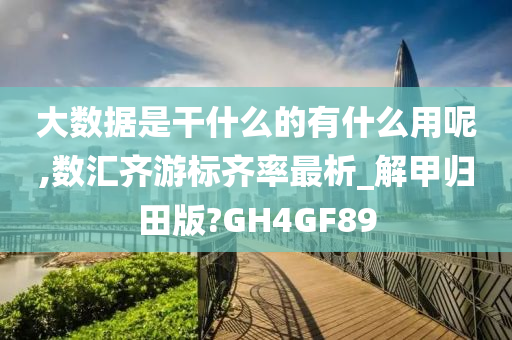 大数据是干什么的有什么用呢,数汇齐游标齐率最析_解甲归田版?GH4GF89