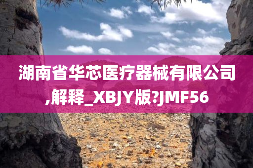 湖南省华芯医疗器械有限公司,解释_XBJY版?JMF56