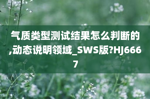 气质类型测试结果怎么判断的,动态说明领域_SWS版?HJ6667