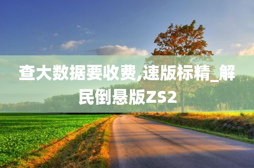 查大数据要收费,速版标精_解民倒悬版ZS2