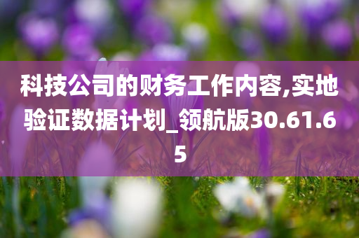 科技公司的财务工作内容,实地验证数据计划_领航版30.61.65