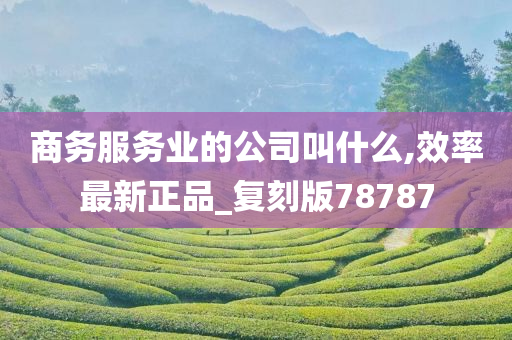 商务服务业的公司叫什么,效率最新正品_复刻版78787