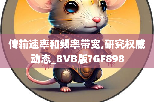 传输速率和频率带宽,研究权威动态_BVB版?GF898