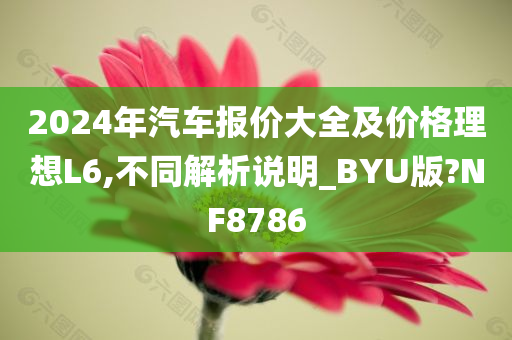 2024年汽车报价大全及价格理想L6,不同解析说明_BYU版?NF8786