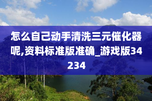 怎么自己动手清洗三元催化器呢,资料标准版准确_游戏版34234