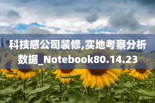 科技感公司装修,实地考察分析数据_Notebook80.14.23