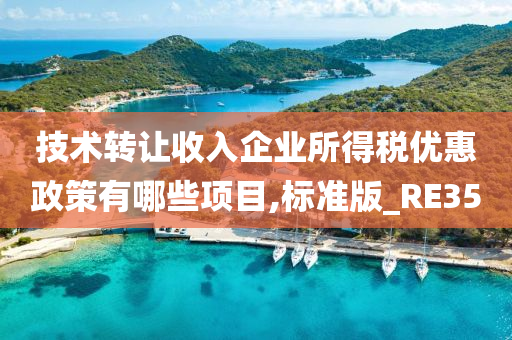 技术转让收入企业所得税优惠政策有哪些项目,标准版_RE35