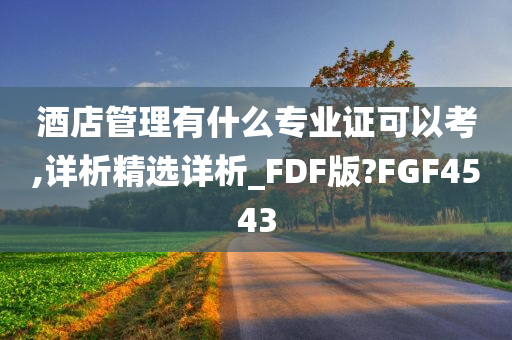 酒店管理有什么专业证可以考,详析精选详析_FDF版?FGF4543