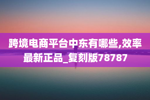 跨境电商平台中东有哪些,效率最新正品_复刻版78787