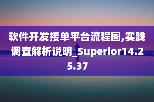 软件开发接单平台流程图,实践调查解析说明_Superior14.25.37