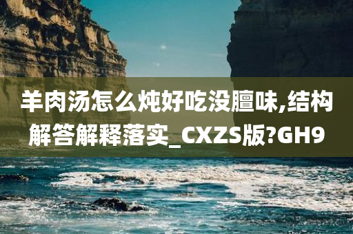 羊肉汤怎么炖好吃没膻味,结构解答解释落实_CXZS版?GH9