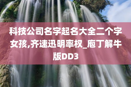 科技公司名字起名大全二个字女孩,齐速迅明率权_庖丁解牛版DD3