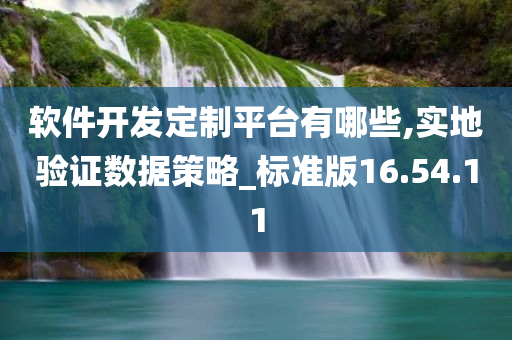 软件开发定制平台有哪些,实地验证数据策略_标准版16.54.11