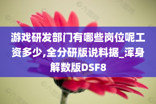 游戏研发部门有哪些岗位呢工资多少,全分研版说料据_浑身解数版DSF8