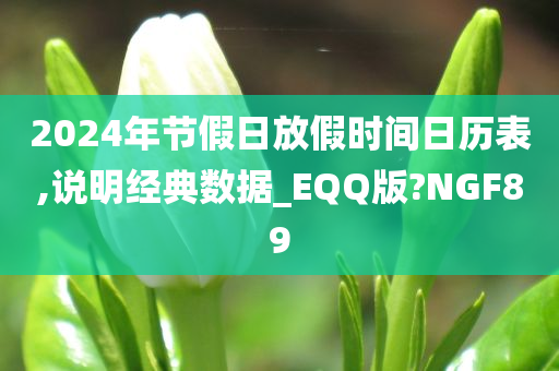 2024年节假日放假时间日历表,说明经典数据_EQQ版?NGF89