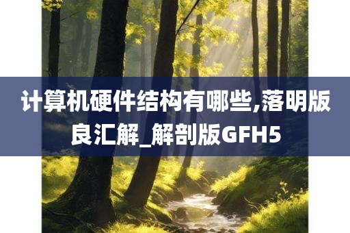 计算机硬件结构有哪些,落明版良汇解_解剖版GFH5